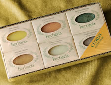 6-bar gift set, citrus