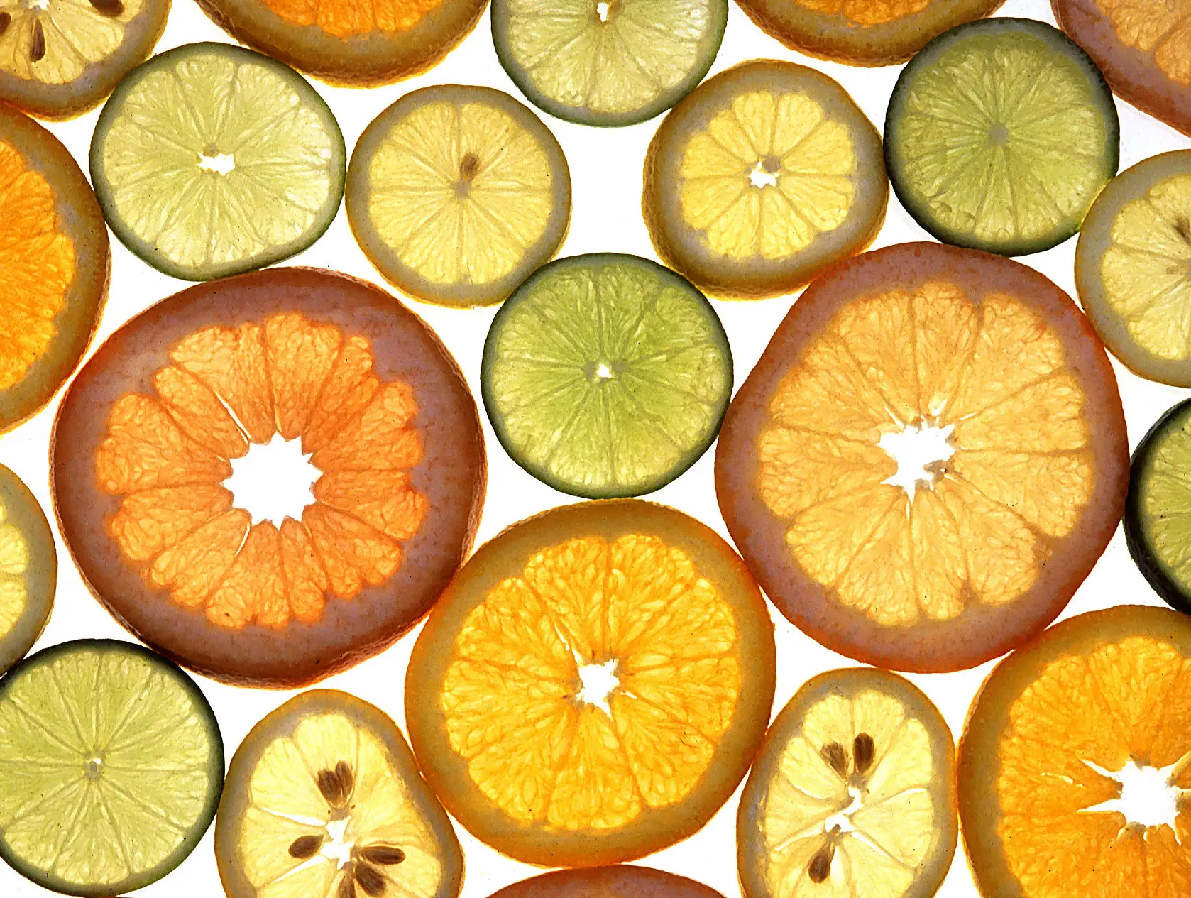 Sliced Citrus Fruits on a white background
