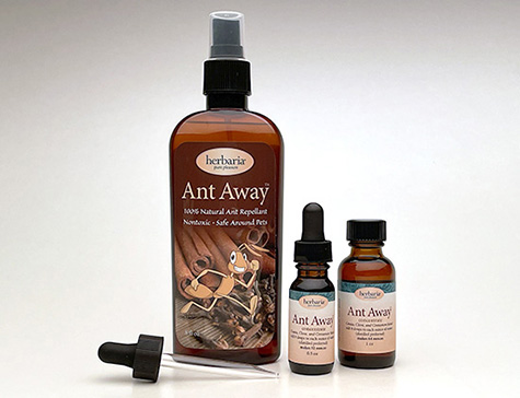 Ant Away Concentrate