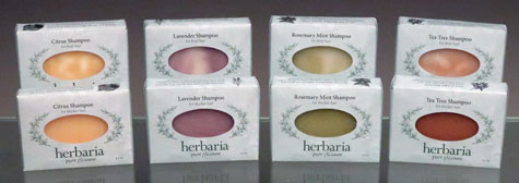 Shampoo Bars