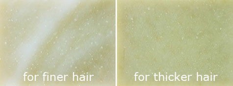 Rosemary Mint Shampoo