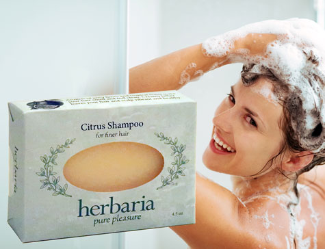 Shampoo Bars