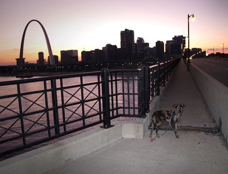 Soapy's Guide to St. Louis