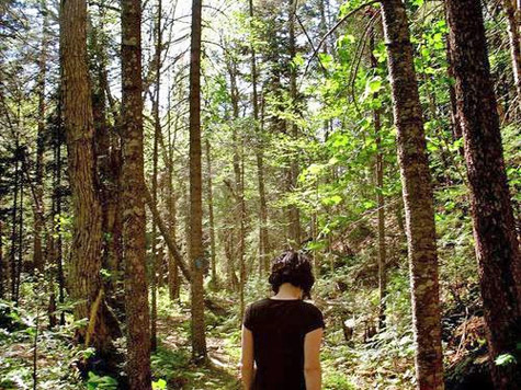 woman walking in Maine woods photo