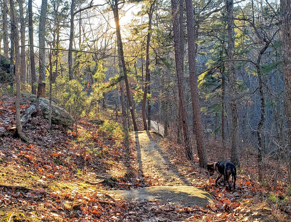 Pickle Springs Natural Area Pickle Springs Natural Area