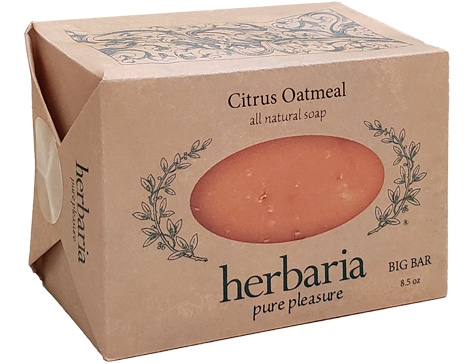 Citrus Oatmeal Big Bar