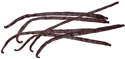 Vanilla beans