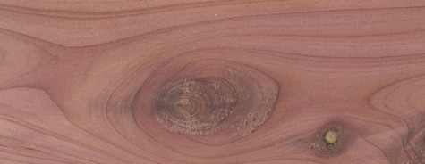 Cedarwood