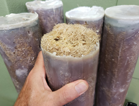 luffas in the works loofah Soap