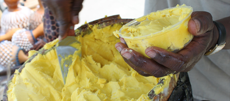 Shea Butter