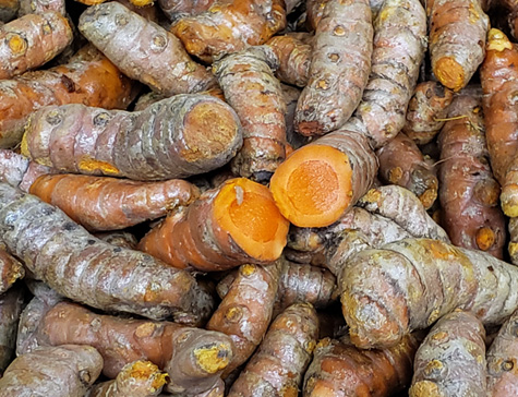 fresh turmeric root
