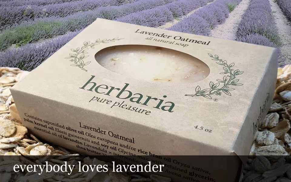 everybody loves lavender