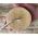 May Chang Luffa Soap