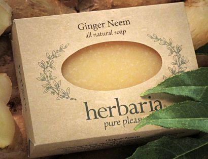 Herbaria all natural Ginger NeemSoap