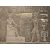 Egyptian Luffa whole and pieces