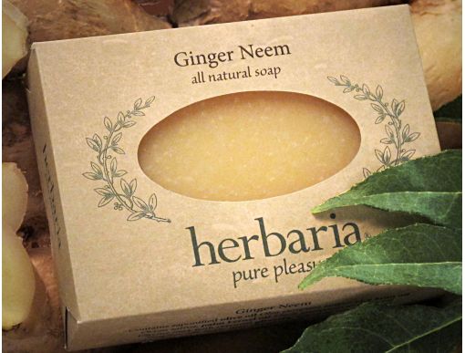 Herbaria all natural Ginger NeemSoap