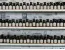 Multiple rows of small amber glass bottles of essential oils with Herbaria labels organized neatly on shelves in the Herbaria storefront.