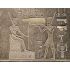 Egyptian Luffa whole and pieces