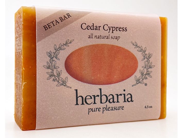 Cedar Cypress