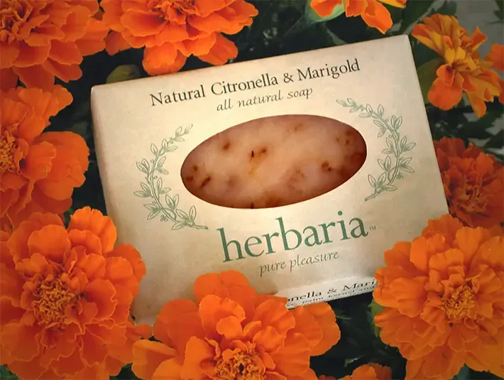 Herbaria Natural Citronella & Marigold soap bar in decorative paper packaging surrounded by orange marigold flowers.