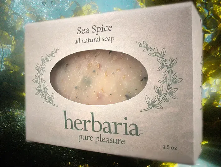 A paper wrapped bar of Sea Spice soap from Herbaria floating in seaweed underwater.