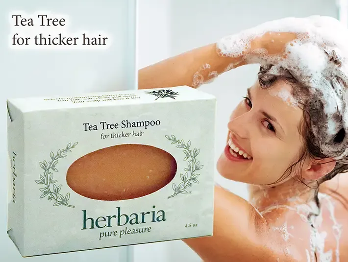 Herbaria Tea Tree Shampoo bar for thicker hair with a woman lathering her hair in the shower.